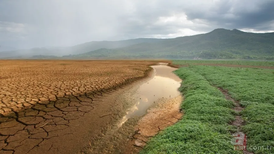 100 yıl içinde bu şehirler yok olabilir! Yeni araştırma şok etti: Risk haritasında Türkiye'den iki kentte var! 4