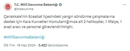 son-dakika-canakkale-bogazi-akbas-mevkiinde-orman-yangini-panigi-1718727858395.jpg