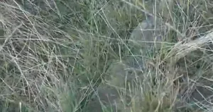 İstanbul’da görünmeyen mezarlık