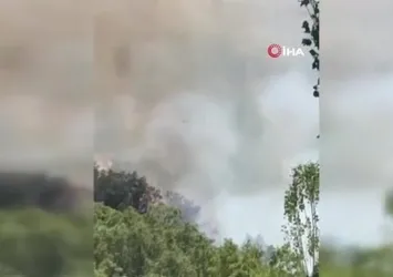 Şemdinli'de orman yangını