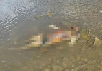 Van Gölü'nde ekipleri harekete geçiren olay!