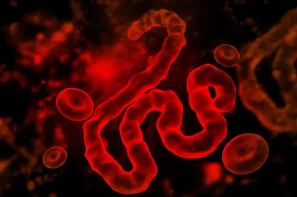 bilim-insanlarindan-salgin-uyarisi-yeni-bir-virus-turu-kesfedildi-1605598624237.jpg Bilim insanlarından salgın uyarısı! Yeni bir virüs türü keşfedildi... - 5