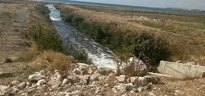 Van Gölü’ne kaçak deşarja ceza! Bakanlık affetmedi