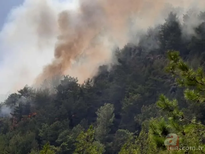 Manavgat'tan sonra şimdi de Mersin! Korkutan yangın 4