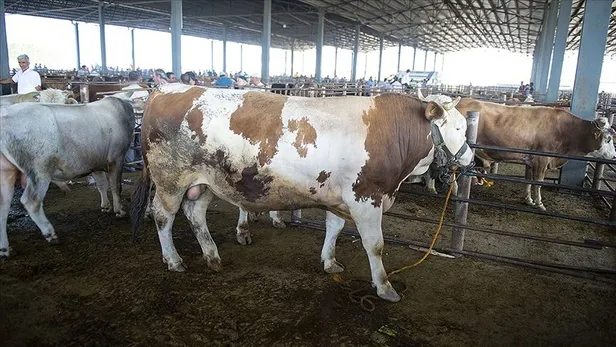 Bilim Kurulu üyesi açıkladı! Bayramda kısıtlama olacak mı? 31 Temmuz-3 Ağustos’ta sokağa çıkma yasağı var mı?