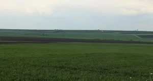 Meyve ve sebzede kar aracıda çile üreticide