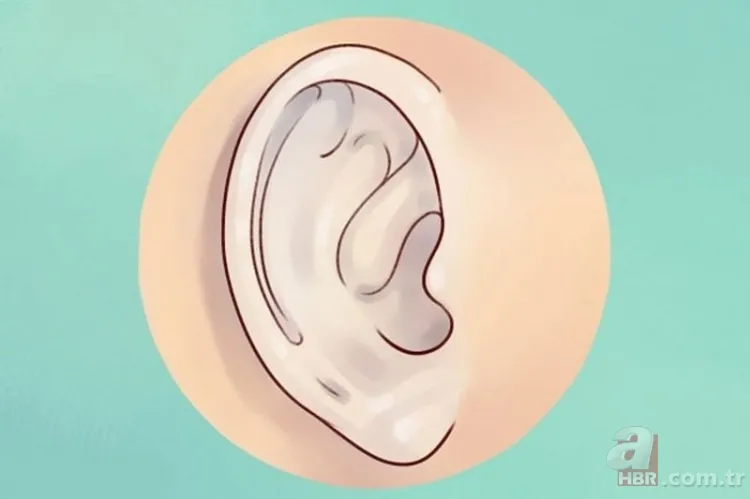 Kulak memesindeki çapraz çizgi ne işe yarar? 12