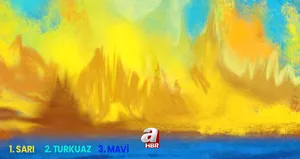 200 kişiye soruldu, o rengi kimse bulamadı!