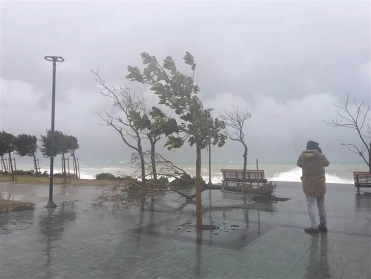 Antalya'yı fırtına yıktı geçti! Uçaklar inemedi, ağaçlar devrildi, araçlar mahsur kaldı