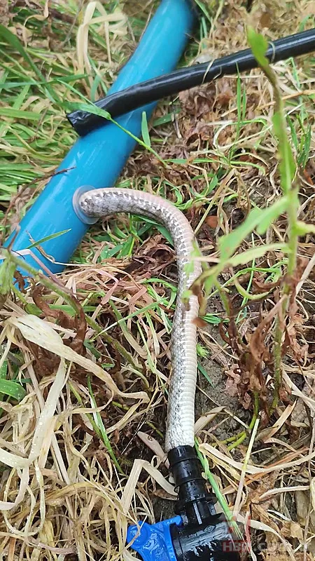 Tıkanan su borusundan çıkan şoke etti! 1 buçuk metrelik... 7