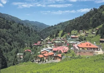 Ayder’i koruyacak kroki çıkarıldı