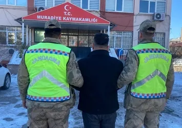 Van'da 10 düzensiz göçmen yakalandı