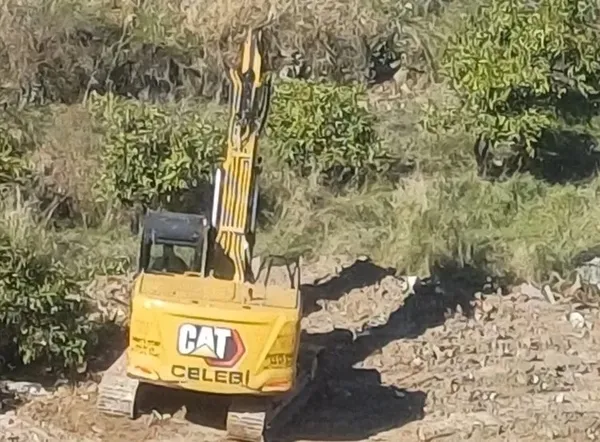 CHP'li Narlıdere Belediyesi'nin durmak bilmeyen ağaç katliamı! - 1