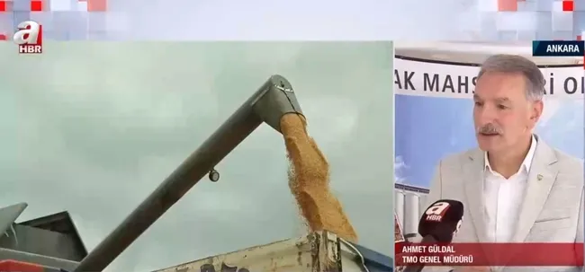 Tarlada hasat sezonu sürüyor! TMO randevu sisteminde bir sorun var mı?