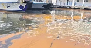 Belediyenin ’temiz’ dediği Körfez kirli çıktı!