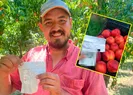 Tarlasında görünce şaştı kaldı!