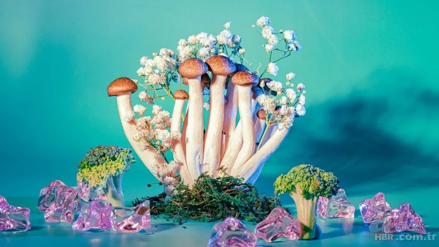 Depresyon tedavisinde yeni dönem: Bu mantar beyindeki döngüleri kırıyor 5