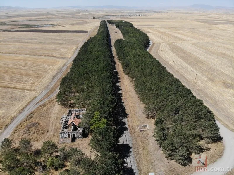 Bozkırın ortasında yemyeşil doğa! Hayran bırakan görüntüler 12