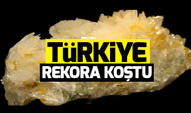 Türkiyeden rekor!