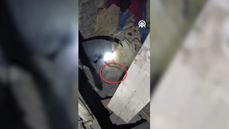 Sındırgı’da depremde yıkılan ahırın enkazı altında kalan eşek kurtarıldı