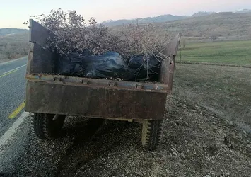 Diyarbakır'da traktörde ağaç dalları arasına gizlenmiş esrar bulundu