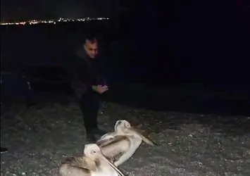 Görenler telefona sarıldı! Dünyaca ünlü sahilde şaşırtan manzara