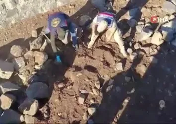 Şanlıurfa’da silah kaçakçılığı operasyonu