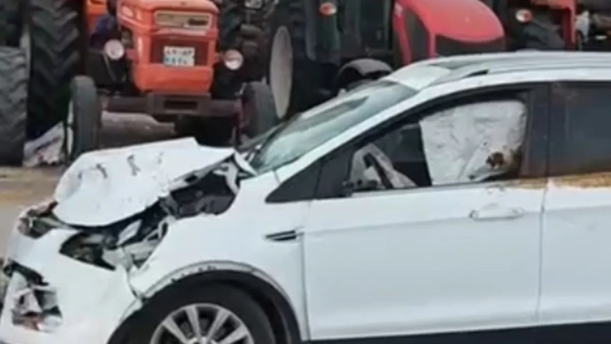 Muş’ta yola çıkan ineğe otomobil çarptı