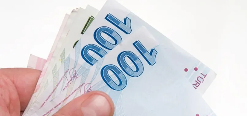 Ekonomide Türk lirası devri