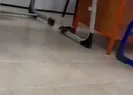 Oy kullanılan sınıfta fare paniği!