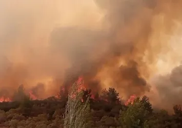 Orman yangınlarıyla mücadele! Alev kapanlarında son durum ne? İşte bölge bölge yangın raporu