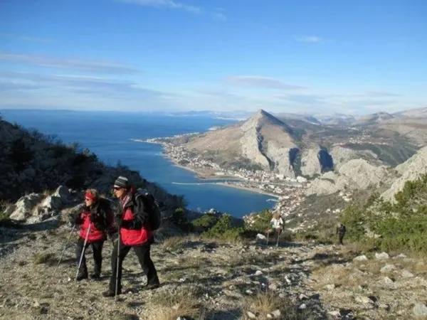 Hırvatistan’da yaralanan dağcının hayatını köpeği kurtardı! Tam 13 saat boyunca…