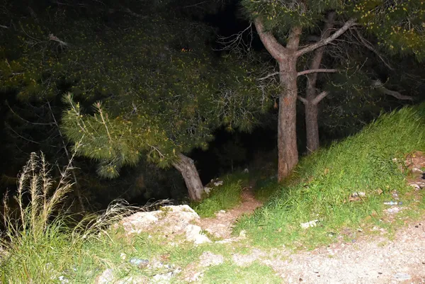 1616737285103.jpg Ekipleri harekete geçirdi! Ormanlık alanda bulundu - 2