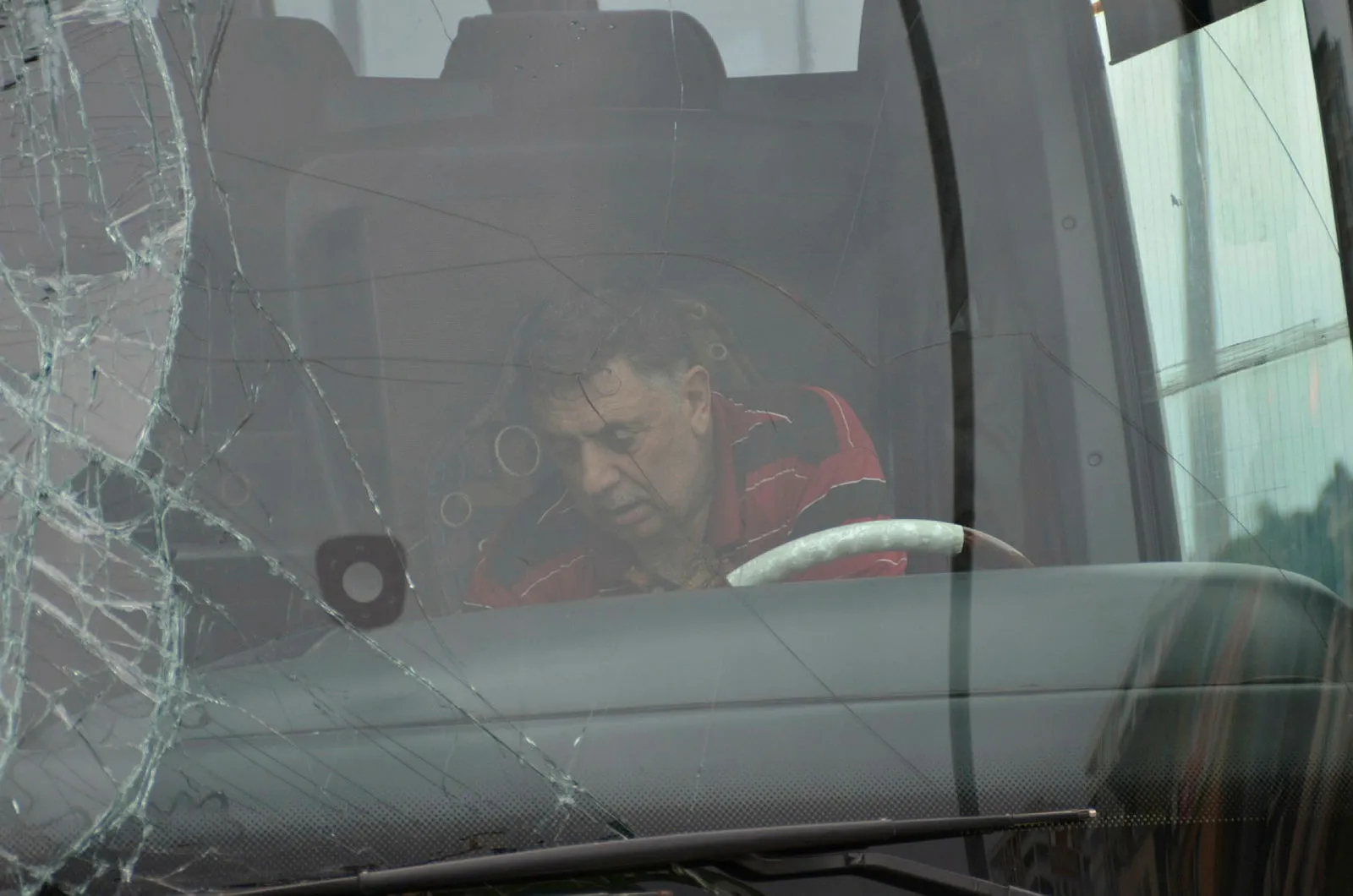 Deli bal yiyen ayıyla aynı kaderi paylaştı! Otobüs sürücüsü deli bal yiyip direksiyon başına geçti olanlar oldu