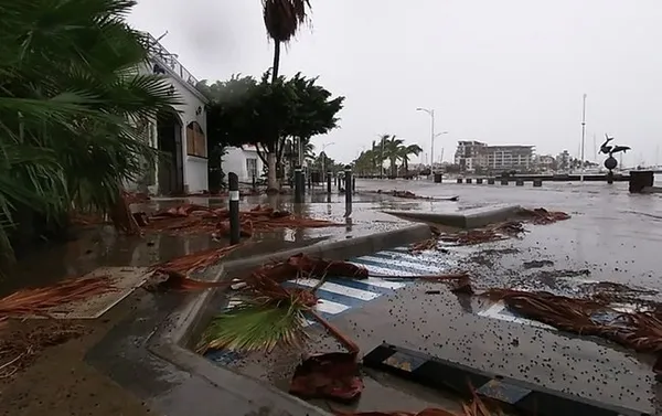 ABD teyakkuza geçti: Nicholas fırtınası yerle bir edebilir!
