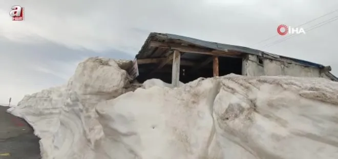 Ardanuç'ta yayla evleri kar altında