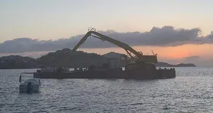 Bodrum’da bir garip olay! Kepçe denize daldı