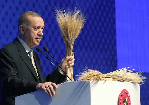 1670582395408.jpg Afrikalı çocuk ve Ukraynalı kadından Başkan Erdoğan'a dikkat çeken hediye - 3