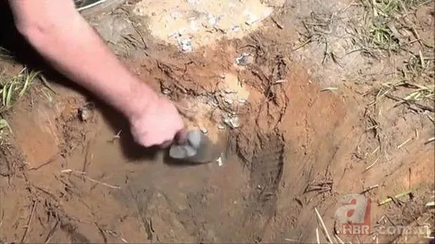 Kırmızı karıncalardan batmayan sal! Haftalarca yüzebiliyorlar 25