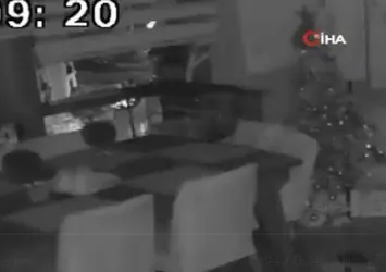 Düzce depremini hisseden papağanın tepkisi gündem oldu! İşte İstanbul'daki papağanın Düzce depremini hissetme anı