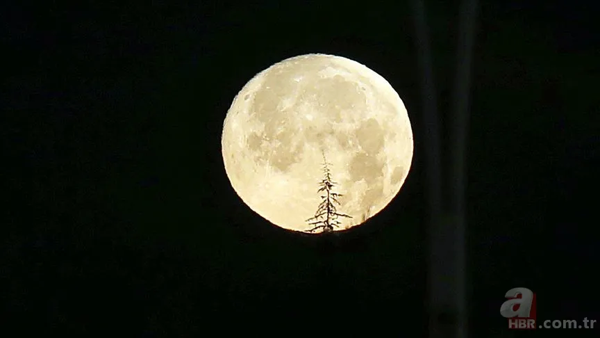 Başak burcunun etkisine hazır olun! DOLUNAY 2023 ne zaman? Mart ayı dolunay/yeni ay ne zaman, hangi tarihte? Hangi burcu nasıl etkileyecek? 9