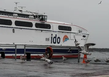 İDO'dan sefer iptalleri (05/01/2019)