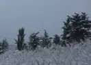 İstanbul kar altında!