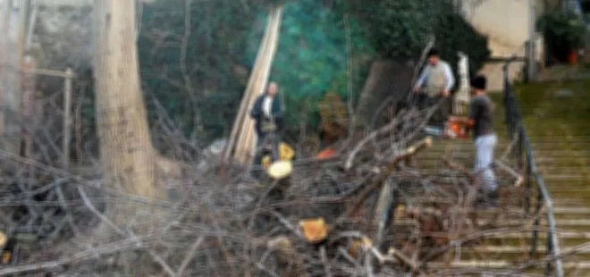 Kestiği ağacın dalı başına düşen adam hayatını kaybetti! Kütahya’da acı olay