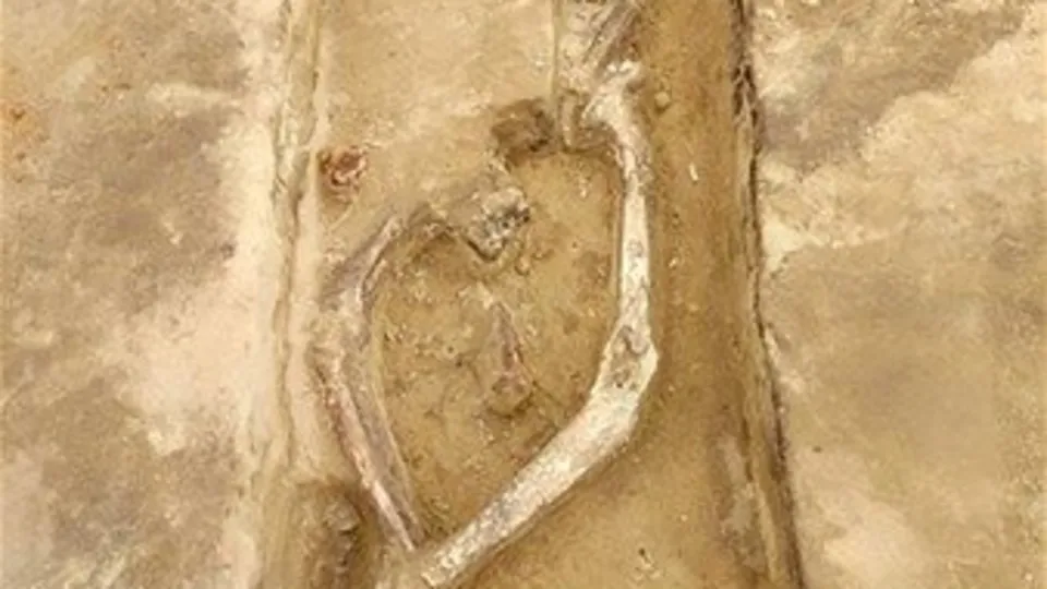 Akıl almaz iskeletler