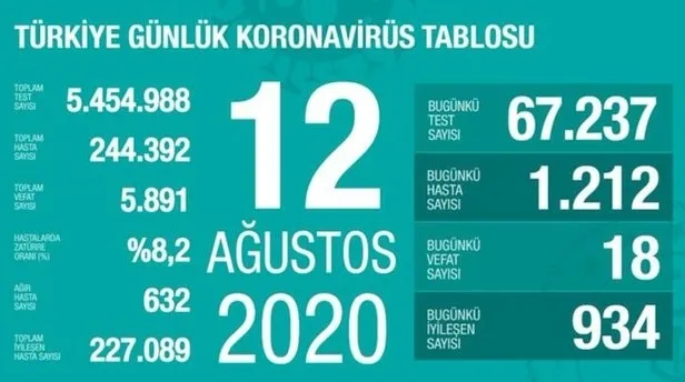 18 Ağustos koronavirüs tablosu: Türkiye'de corona virüsü vaka sayısı kaç oldu? Koronadan kaç kişi öldü? - 7