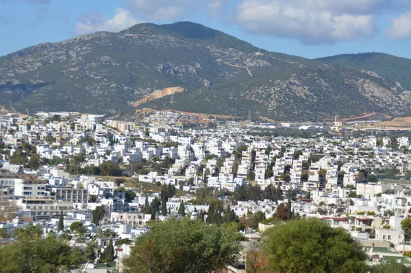 Emlakçılardan sonra şimdi de ev sahipleri! Bodrum'da kiralar iki katına çıktı! - 5