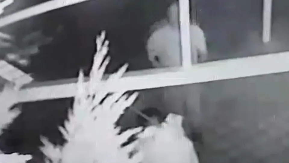 İmam cami avlusunda kendini asan genci ölümden kurtardı! Dehşet anları kamerada