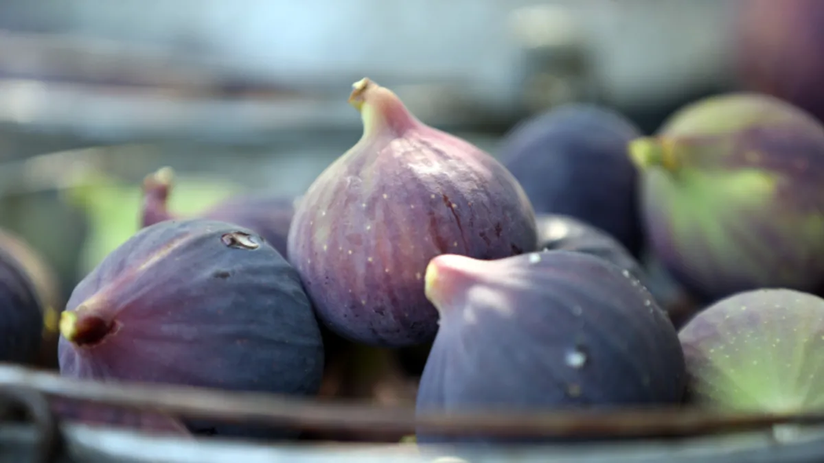 TasteAtlas açıkladı: Dünyanın en iyi inciri Ege’den çıktı