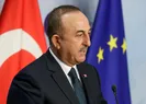 Türkiyeden Mısıra heyet gidiyor!